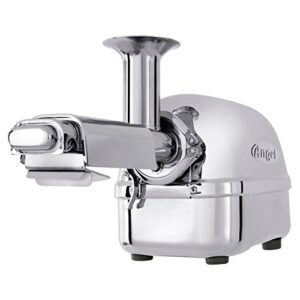 Angel Juicer 8500