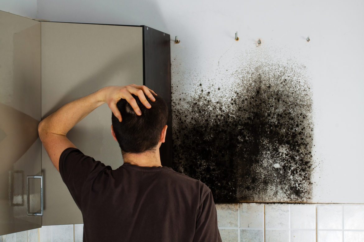 Sydney mold removal