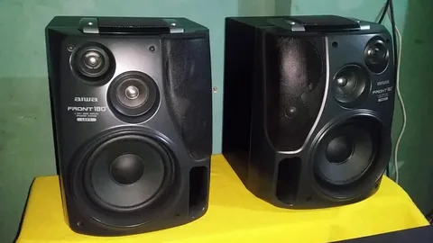 Aiwa Speakers with Built in Subwoofer